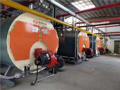 1-10t Wns Seri Diesel Gas Fired Steam Boiler