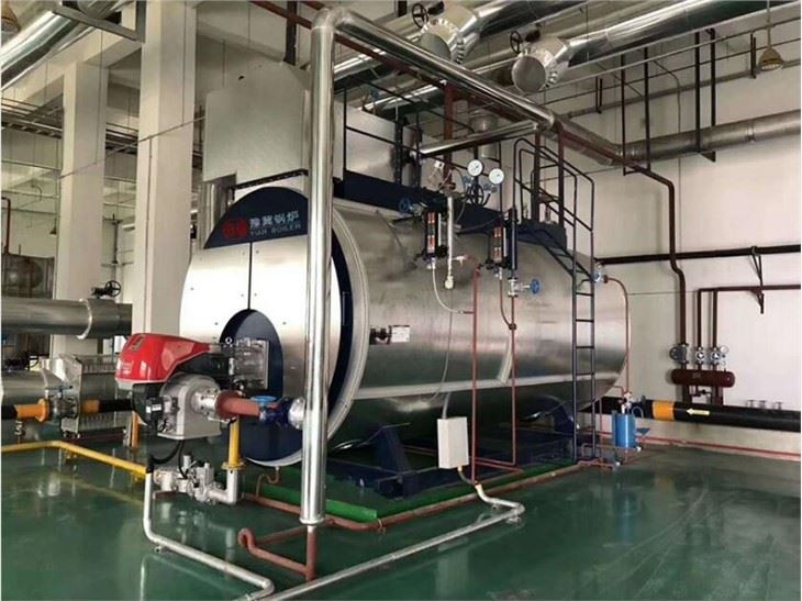 Biogas Fired Boiler